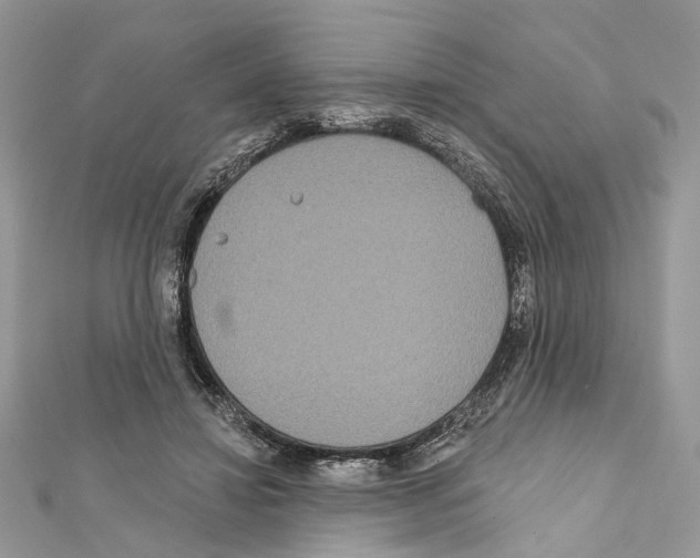 X0000111640452200908281201