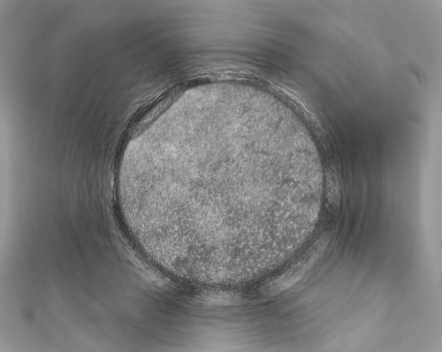 X0000111640453200908281201