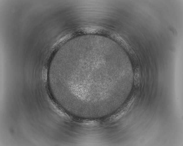 X0000111640454200908281201