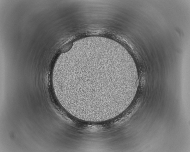 X0000111640455200908281201