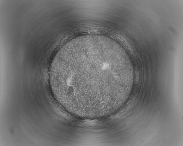 X0000111640457200908281201