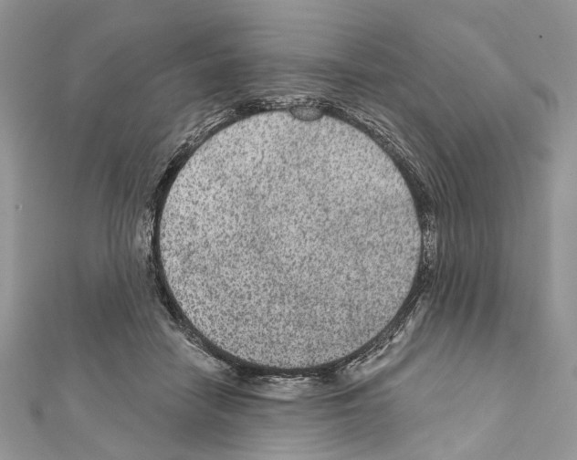 X0000111640458200908281201