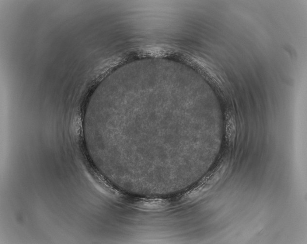 X0000111640459200908281201