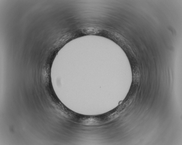 X0000111640460200908281201