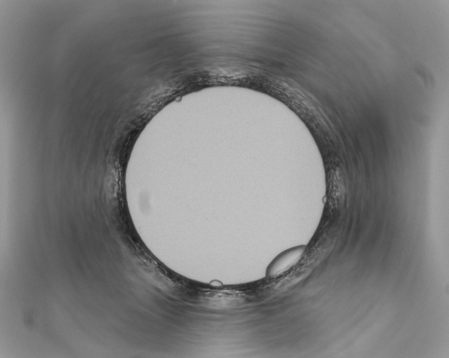 X0000111640463200908281201