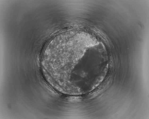 X0000111640465200908281201