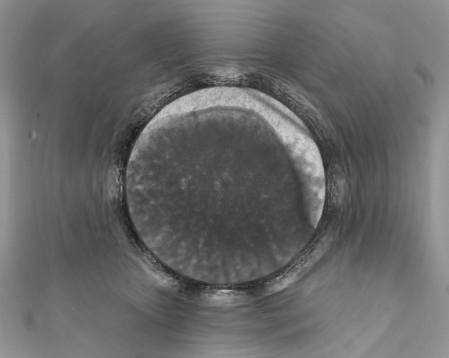 X0000111640467200908281201