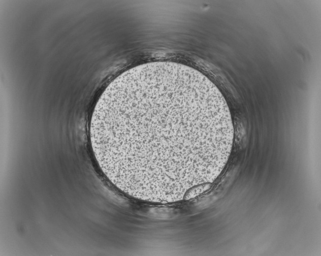 X0000111640470200908281201