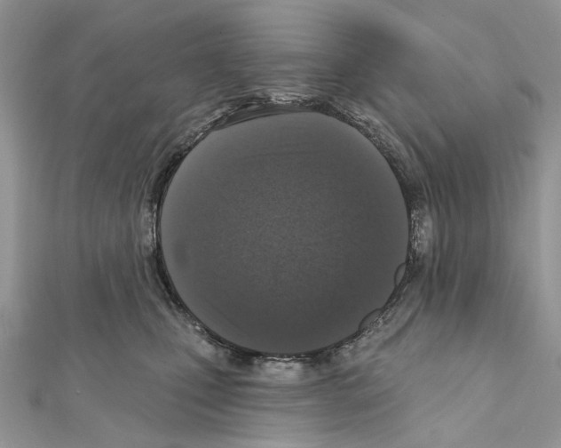 X0000111640471200908281201