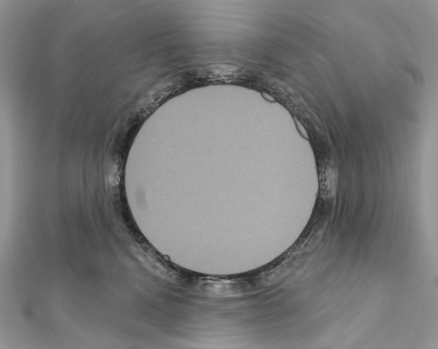 X0000111640472200908281201