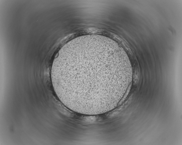 X0000111640473200908281201