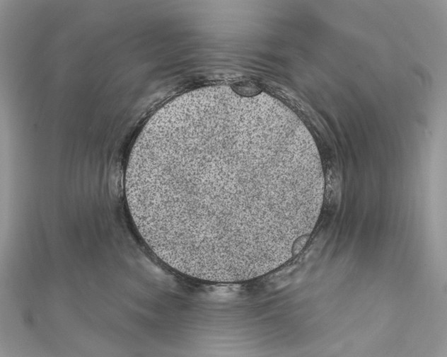X0000111640474200908281201