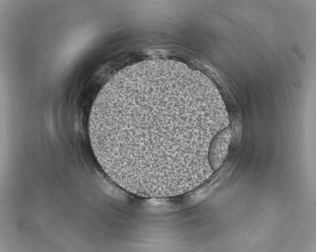 X0000111640477200908281201
