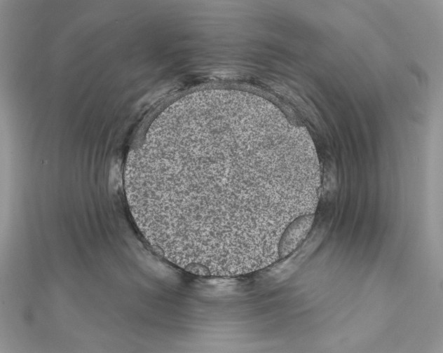 X0000111640478200908281201