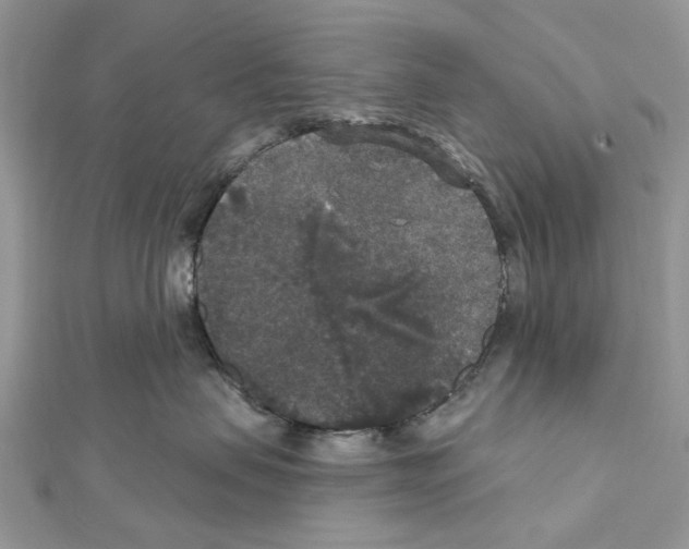 X0000111640479200908281201
