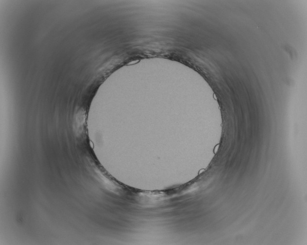 X0000111640480200908281201