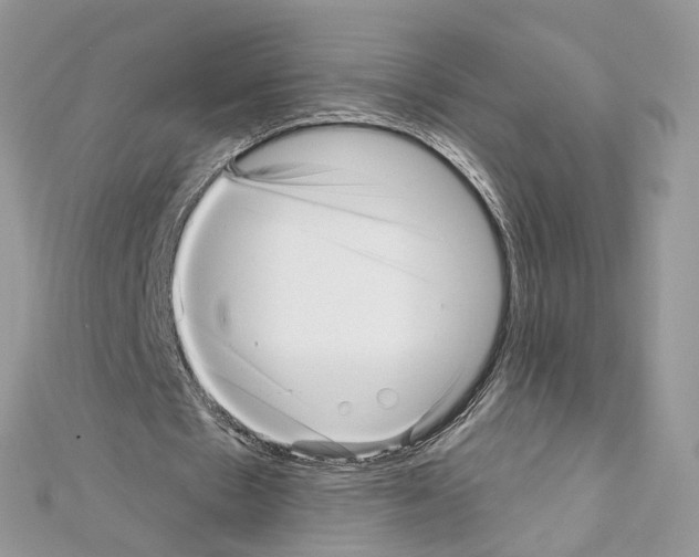 X0000111640481200908281201
