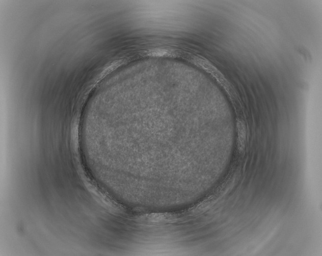 X0000111640482200908281200