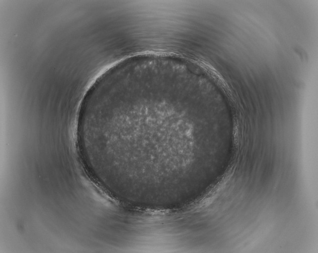 X0000111640484200908281200