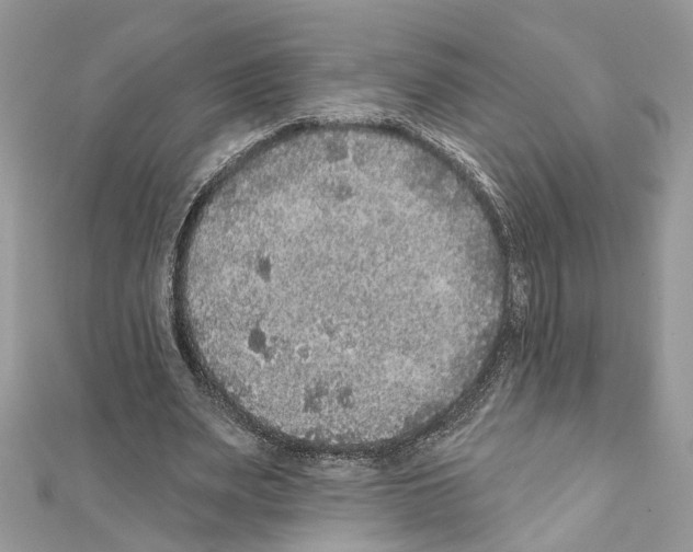 X0000111640487200908281200