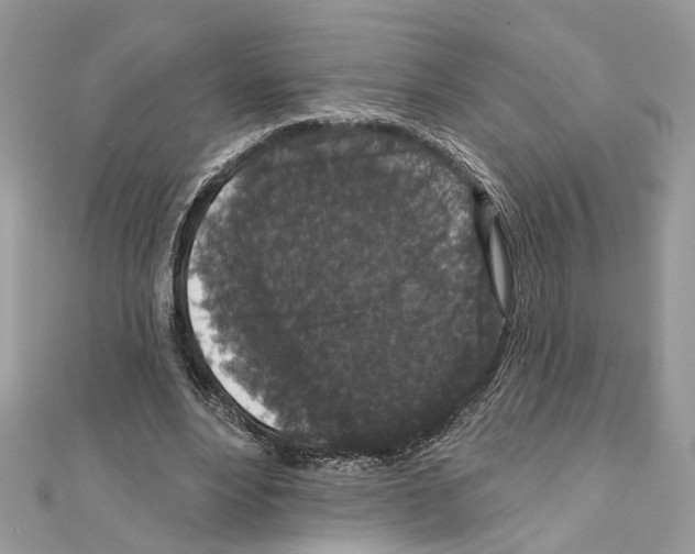X0000111640488200908281200