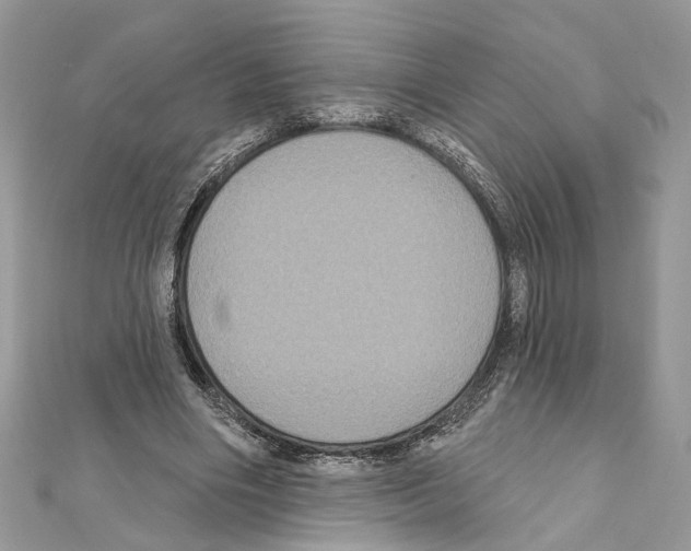 X0000111640490200908281200