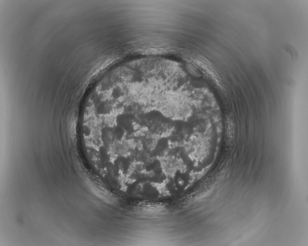 X0000111640491200908281200