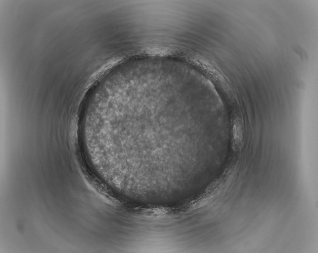 X0000111640492200908281200