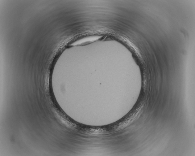 X0000111640493200908281200