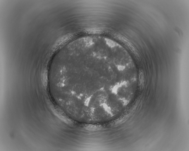 X0000111640494200908281200