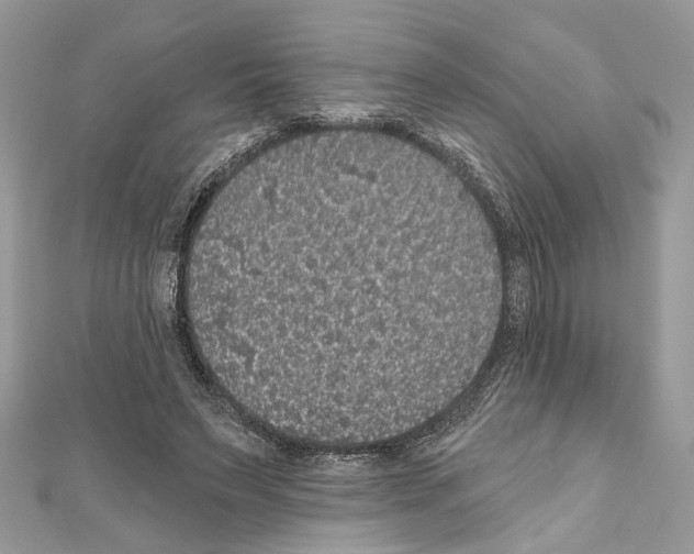 X0000111640495200908281200