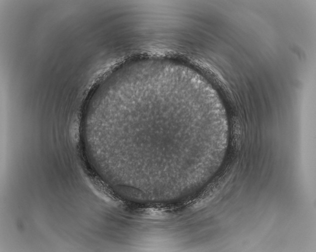 X0000111640496200908281200