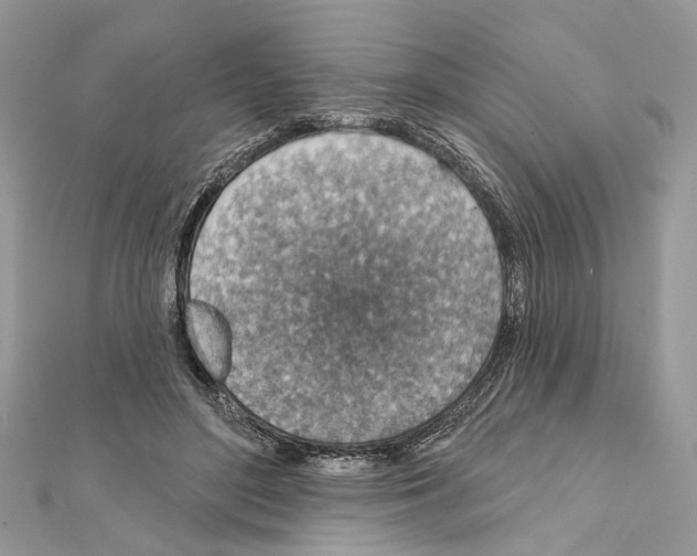 X0000111640500200908281200