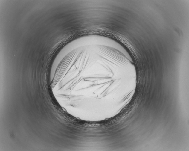 X0000111640501200908281200