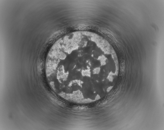 X0000111640503200908281200