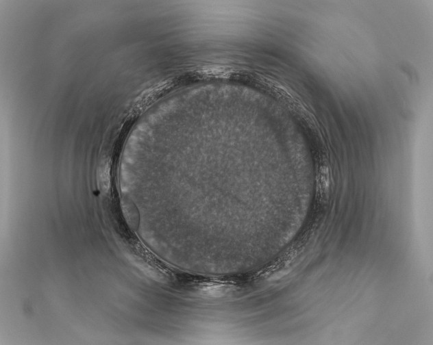 X0000111640504200908281200