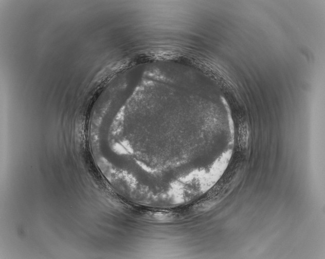 X0000111640506200908281200