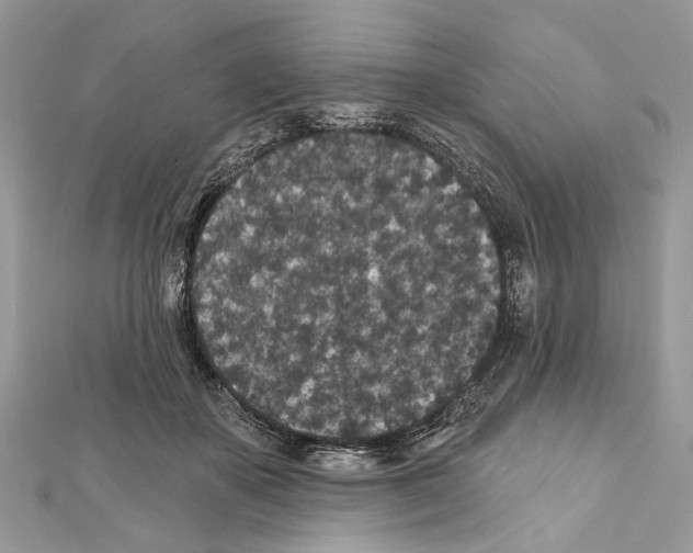 X0000111640507200908281200