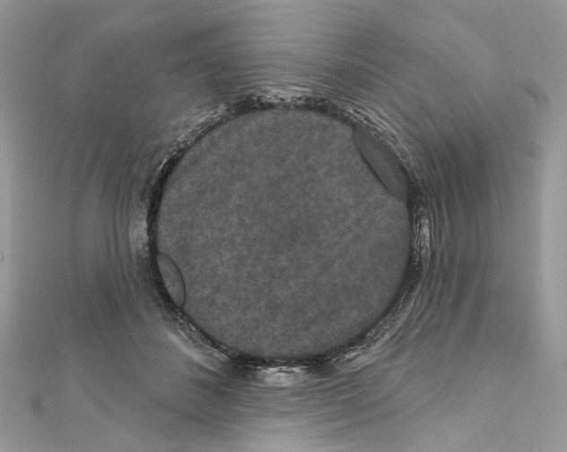 X0000111640508200908281200