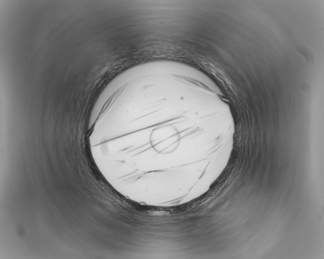 X0000111640509200908281200