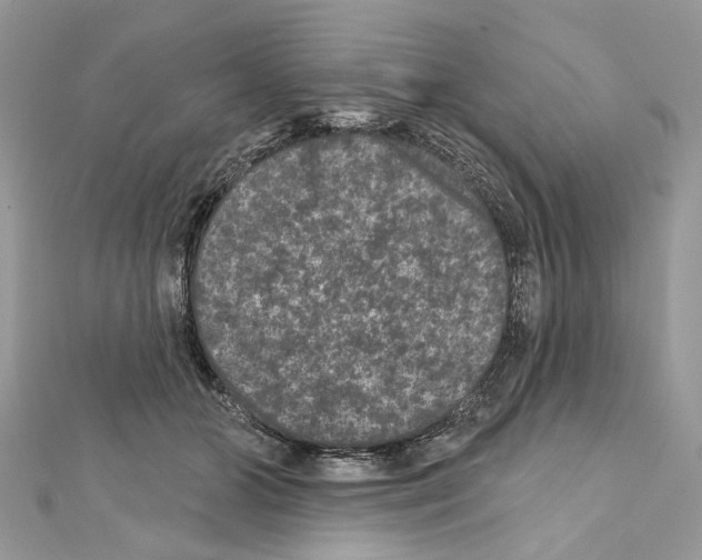 X0000111640510200908281200