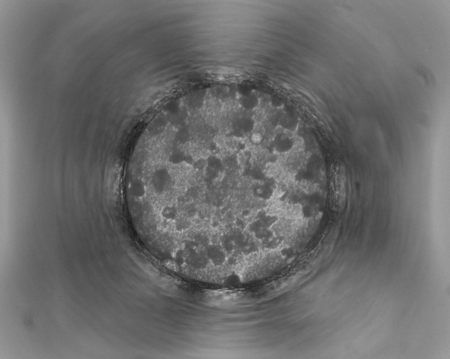X0000111640511200908281200