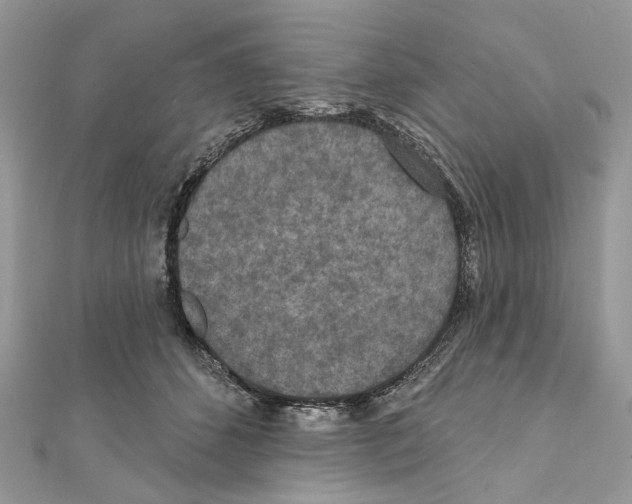 X0000111640512200908281200