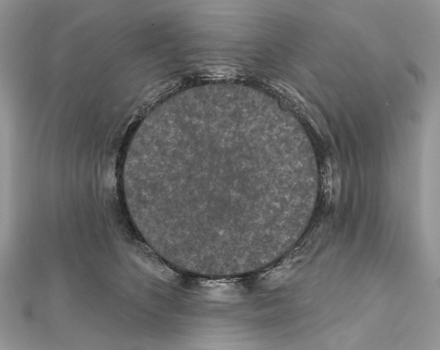 X0000111640516200908281200