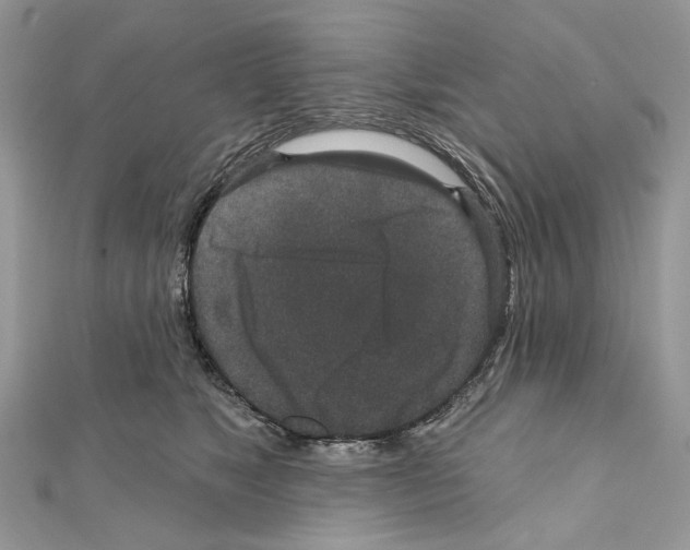 X0000111640517200908281200