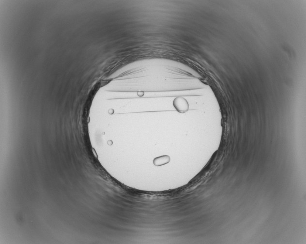 X0000111640520200908281200