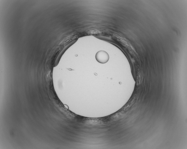 X0000111640521200908281200