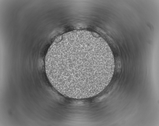 X0000111640523200908281200