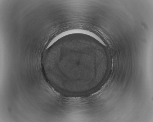 X0000111640524200908281200