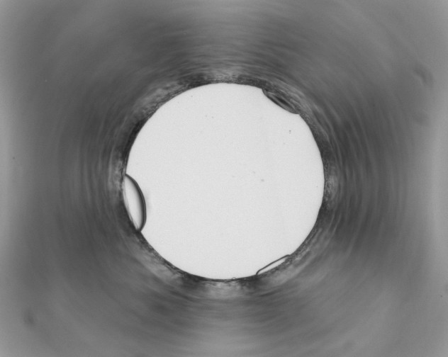X0000111640525200908281200